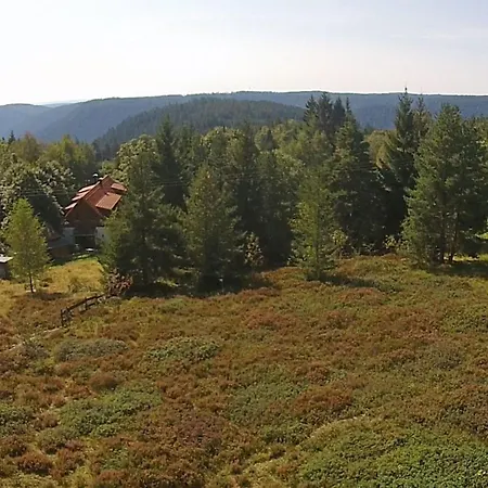 Appartamento Graf By Interhome Kniebis