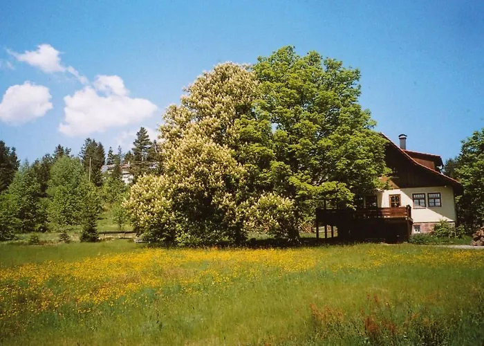 Graf By Interhome Appartamento Kniebis