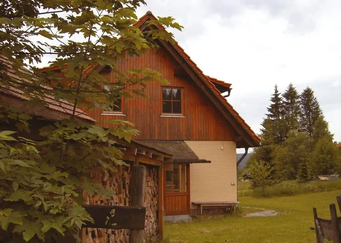 Graf By Interhome Appartamento Kniebis