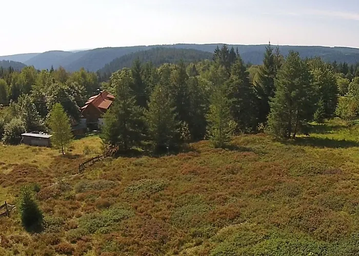 Appartamento Graf By Interhome Kniebis