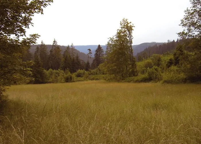 Graf By Interhome Kniebis