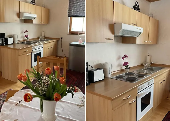 Graf By Interhome * Kniebis