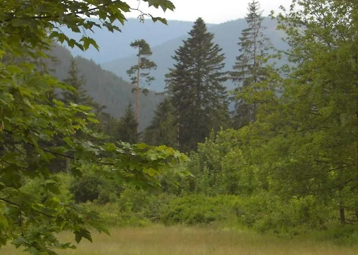 Graf By Interhome Appartamento *