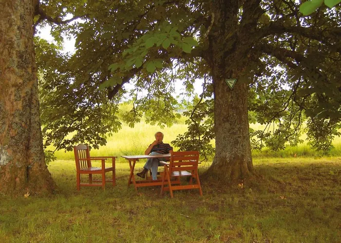 Graf By Interhome * Kniebis