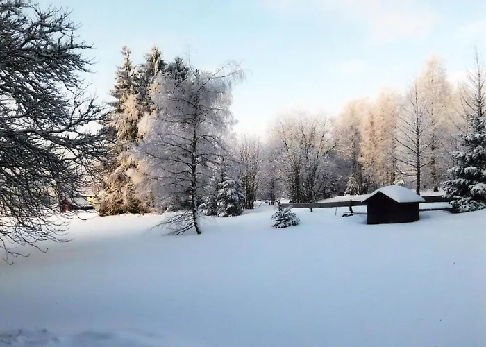 Appartamento Graf By Interhome Kniebis