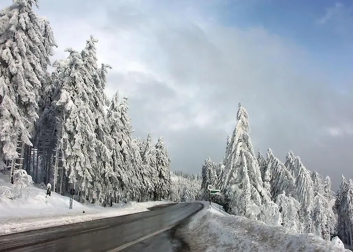 Graf By Interhome Appartamento