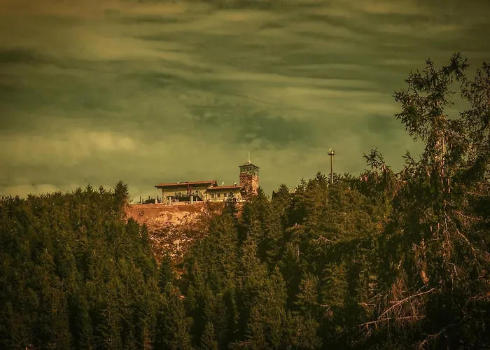 Graf By Interhome Appartamento Kniebis